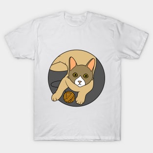 Cute cat is playing with a yarn ball T-Shirt